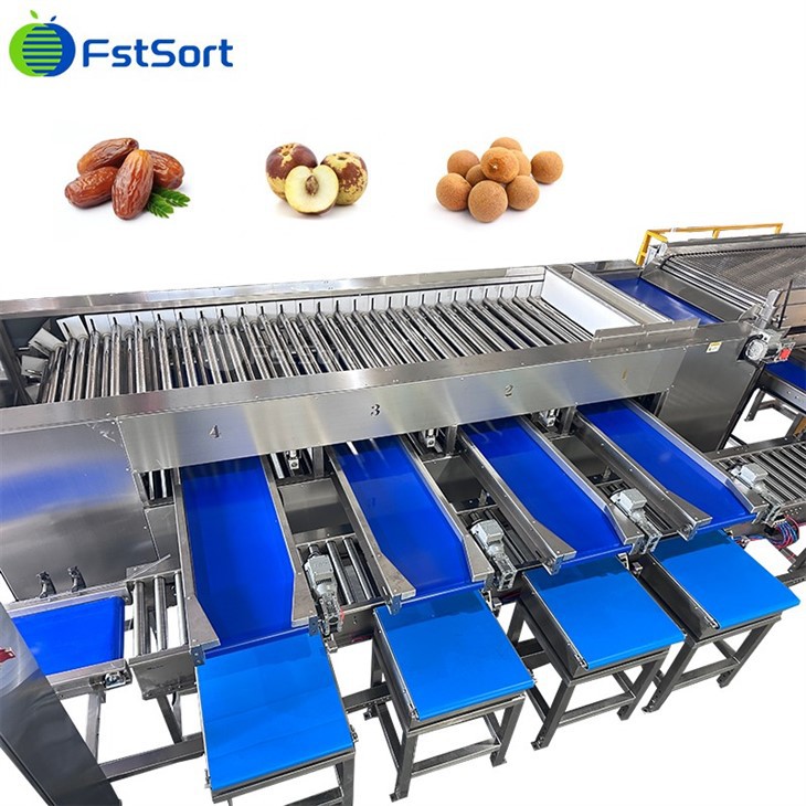 Date Size Grade Packer high quality