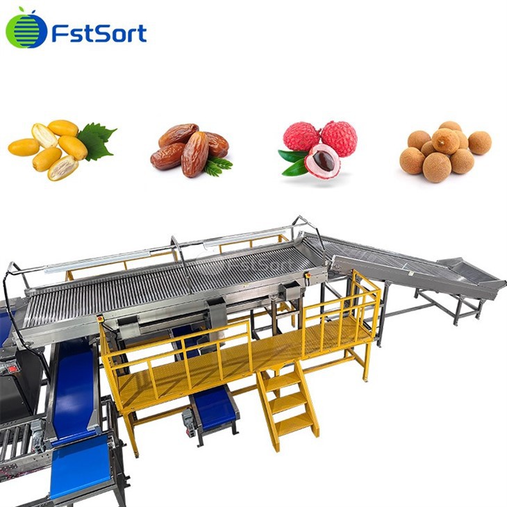 Date Size Grade Packer factory