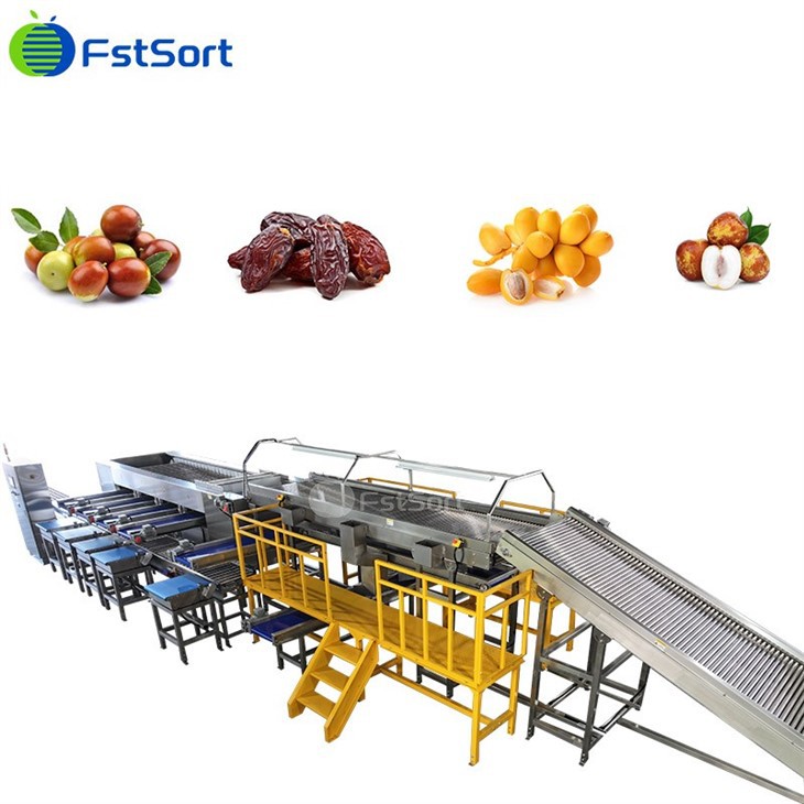 Data Tamaño Grao Packer