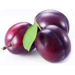 Plum