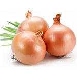 Onion