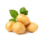 Potato
