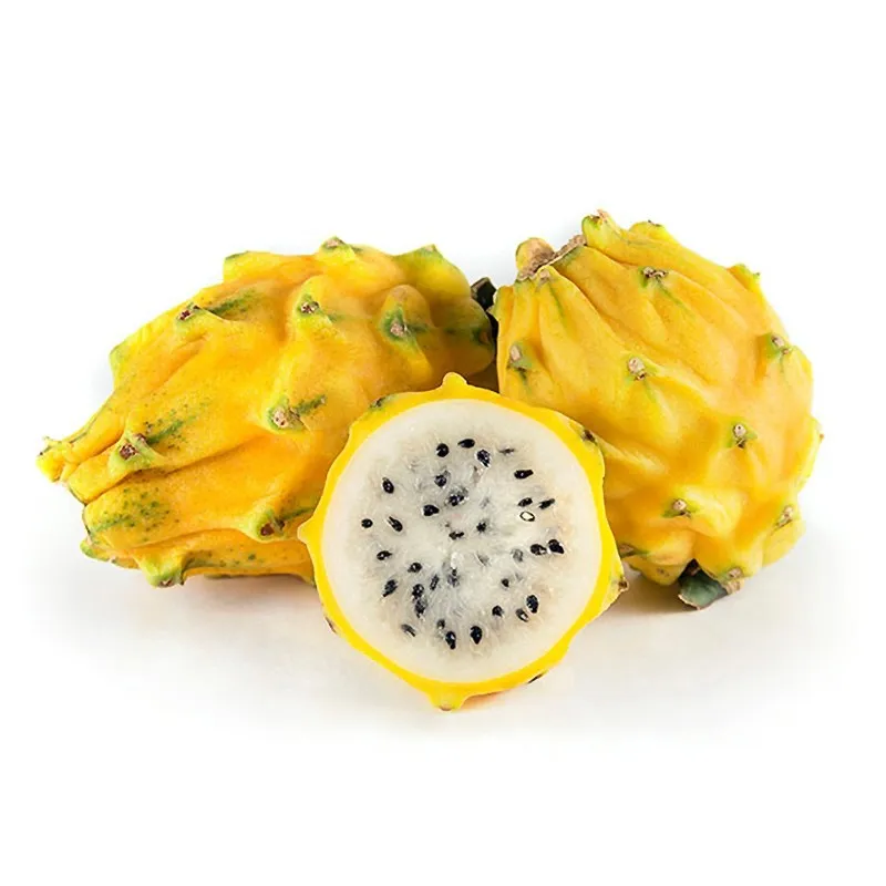 Dragon fruit