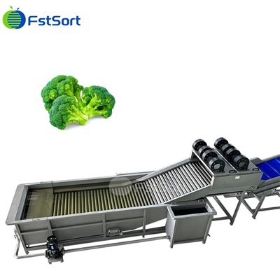Máquinas de clasificación de lavado de brócoli