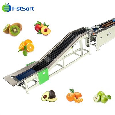 Máquina clasificadora de peso de pexego