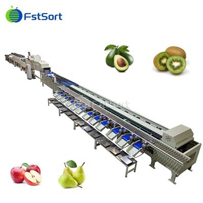 Venta quente Máquina clasificadora de peso de aguacate
